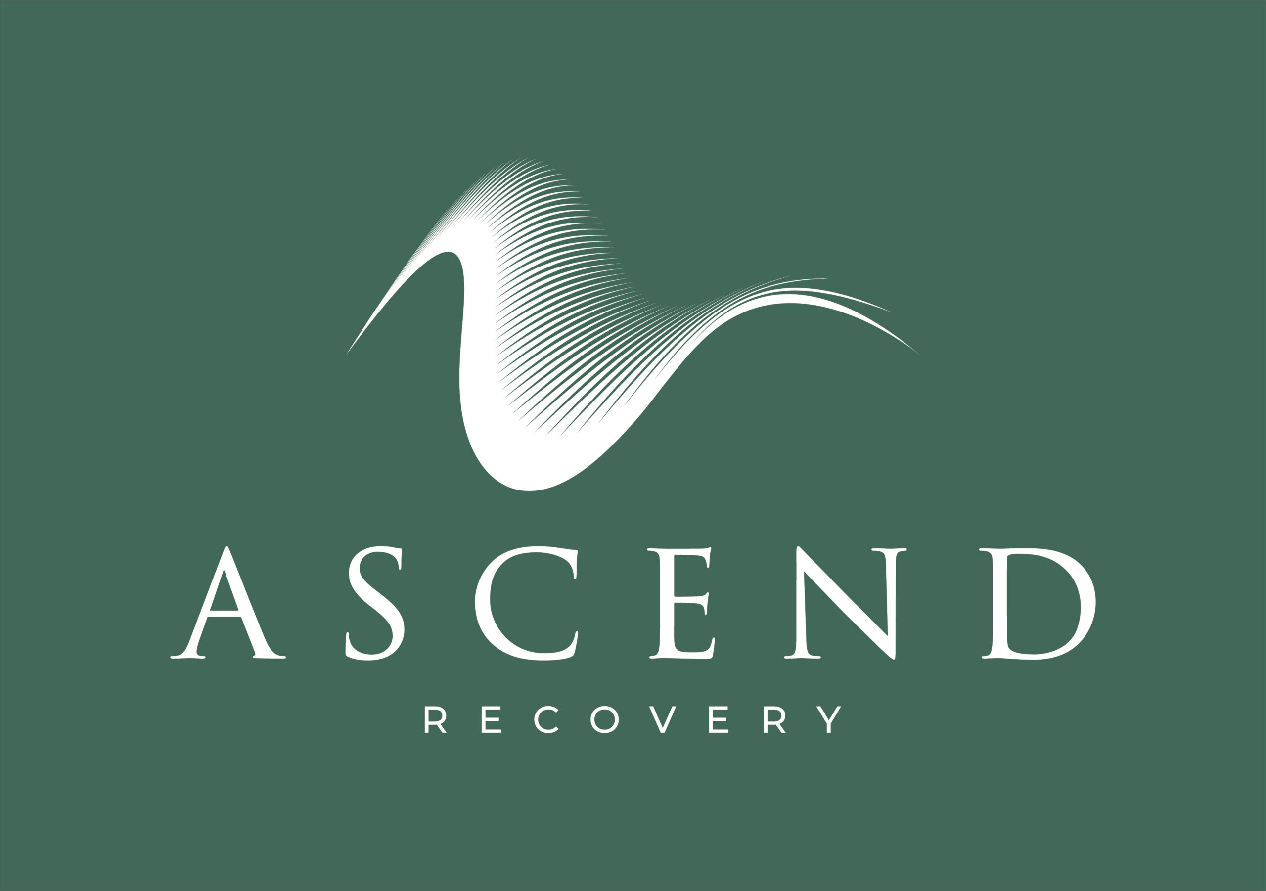 Ascend Recovery Acent Colour 1